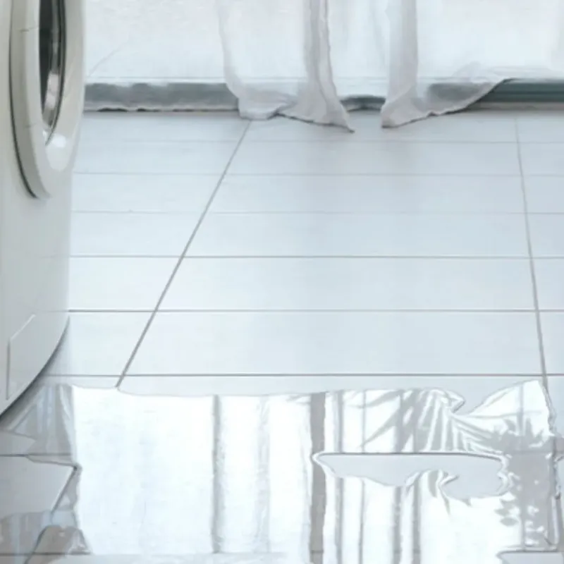 Appliance Leak Cleanup in Elkhorn, WI
