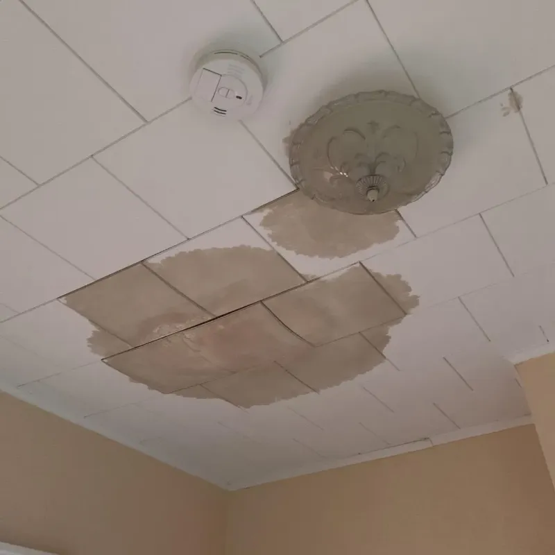 Ceiling Water Damage Repair in Elkhorn, WI